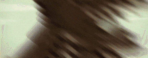 c1f00d785820250709134837